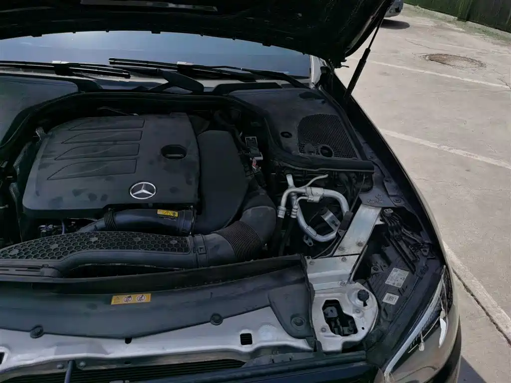 Mercedes-Benz E-Class 2023 Facelift E 300 L Luxury фото 24
