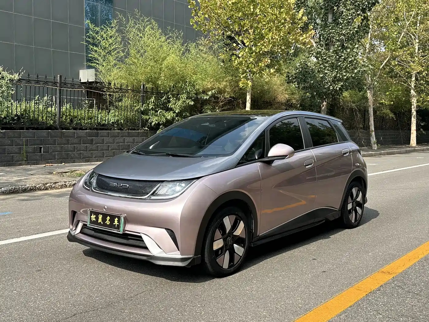 BYD Dolphin 2021