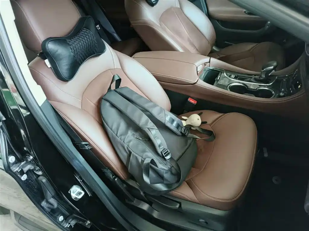 Buick Envision Plus 2016 28T 4WD Elite фото 25