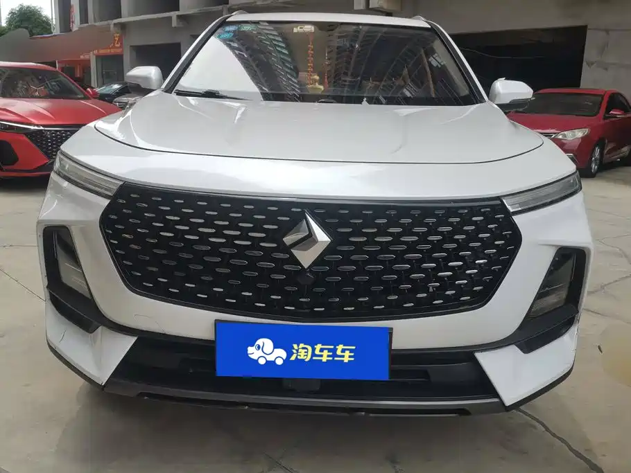 Baojun RS-5 2019 2019 1.5T CVT Intelligent Driving Luxury Edition China V