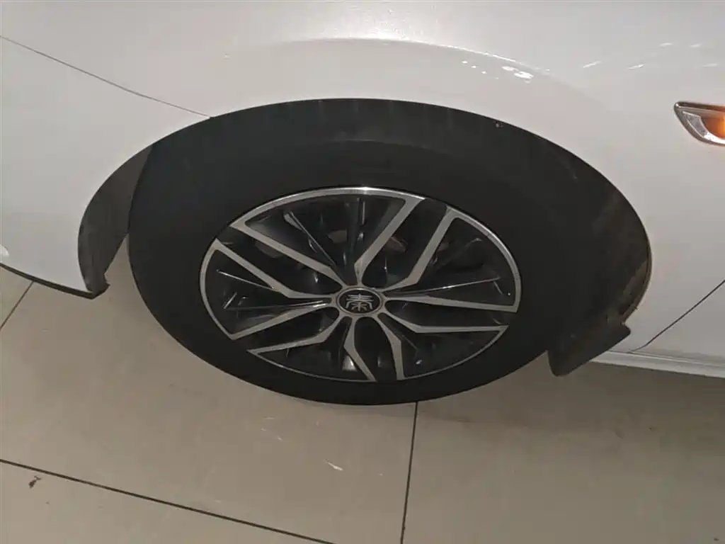 BYD Qin Pro New Energy 2019 EV Super Edition High Power Smart Connect Leading Glory фото 23