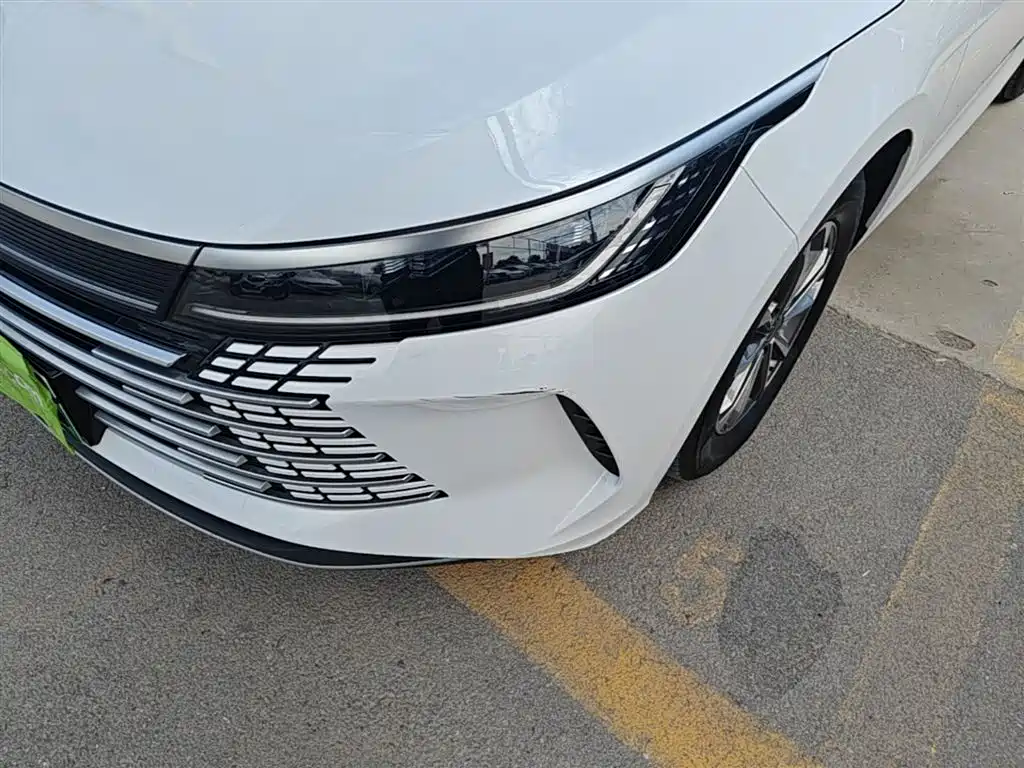 BYD Destroyer 05 2024 Glory Edition DM-i 55KM Luxury фото 18