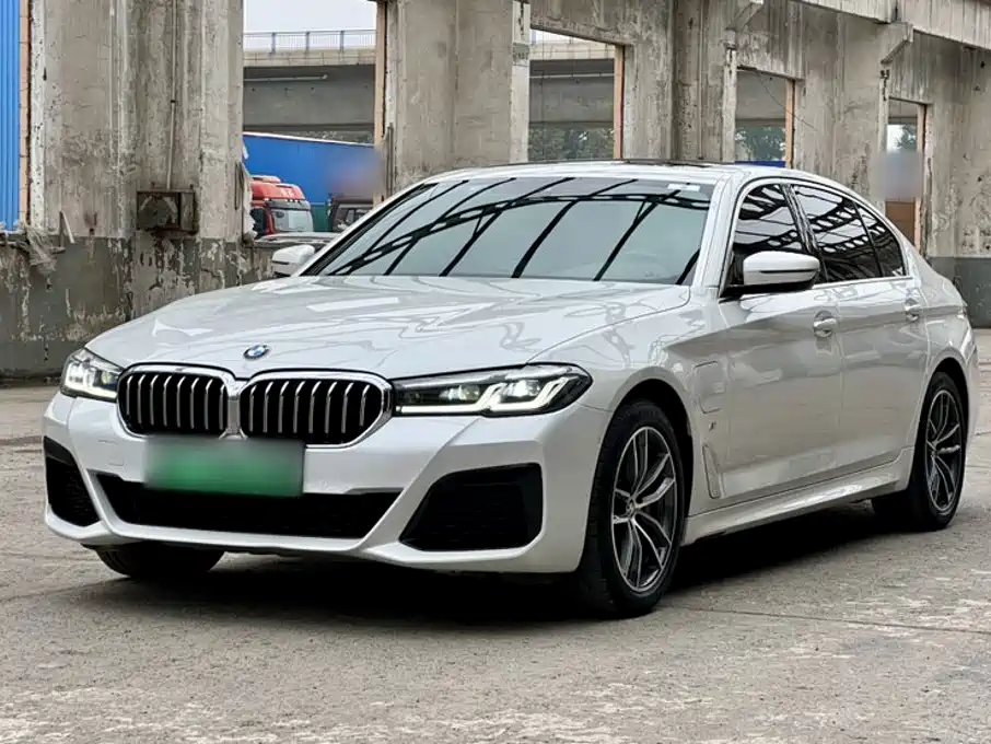 BMW 5 Series New Energy 2021