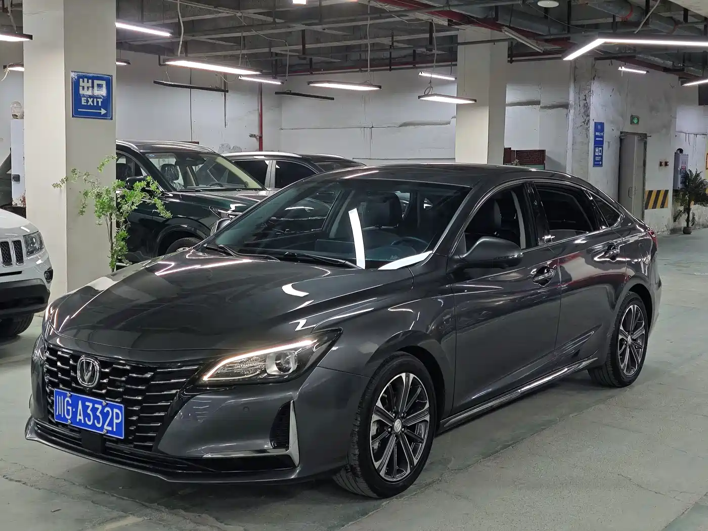 Changan Ruicheng CC 2021 2022 Blue Whale Edition 1.5T DCT Luxury