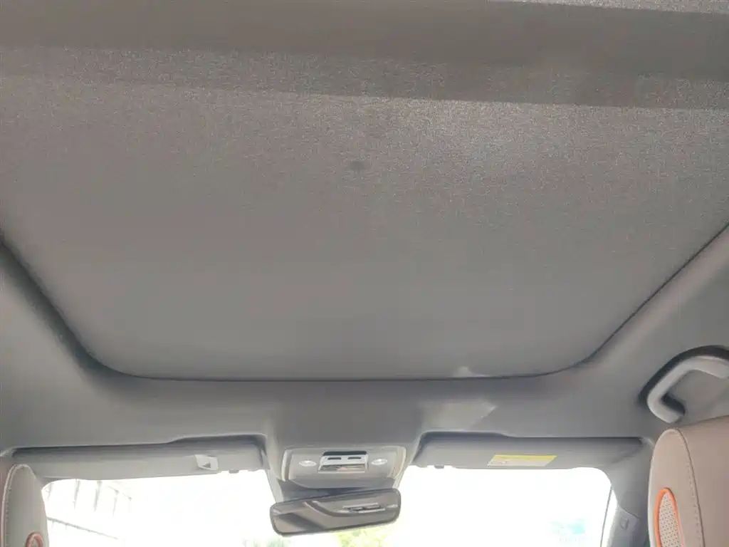 BYD Song Pro New Energy 2023 Champion Edition DM-i 110KM Excellence фото 18