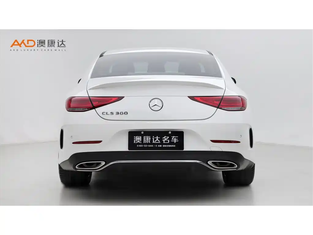 Mercedes-Benz CLS 2023 Model CLS 300 Luxury Version фото 4