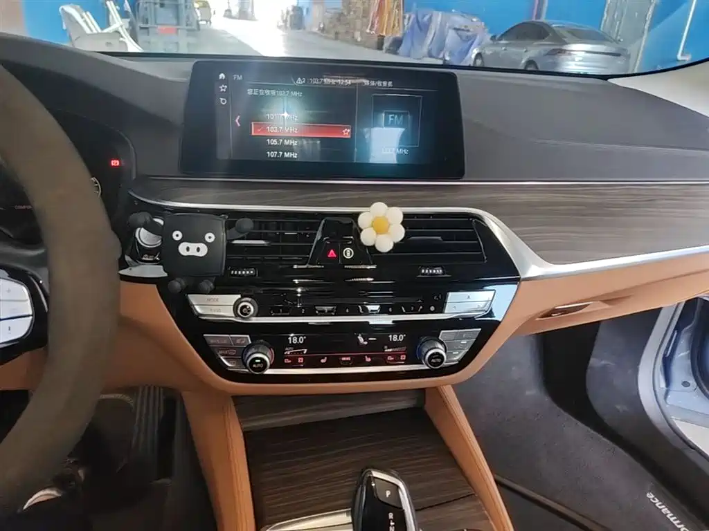 BMW 6 Series GT 2020 630i Luxury Design Package фото 13