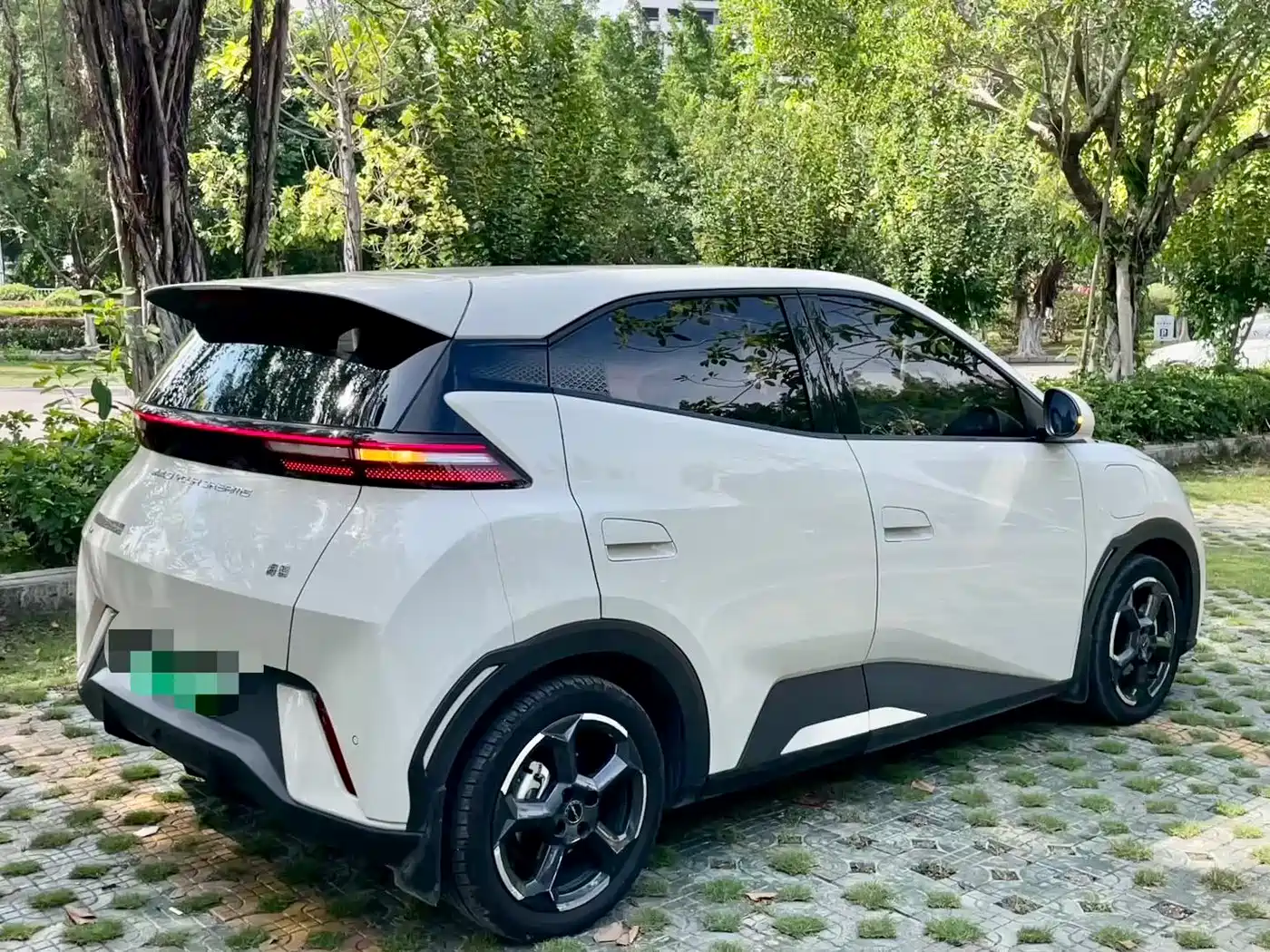 BYD Seagull 2024 Glory Edition 305km Freedom Edition фото 6