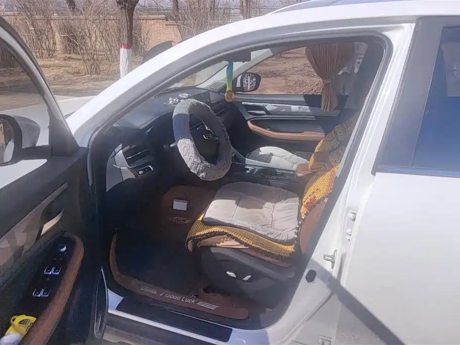 GEELY AUTOMOBILE VISION X6