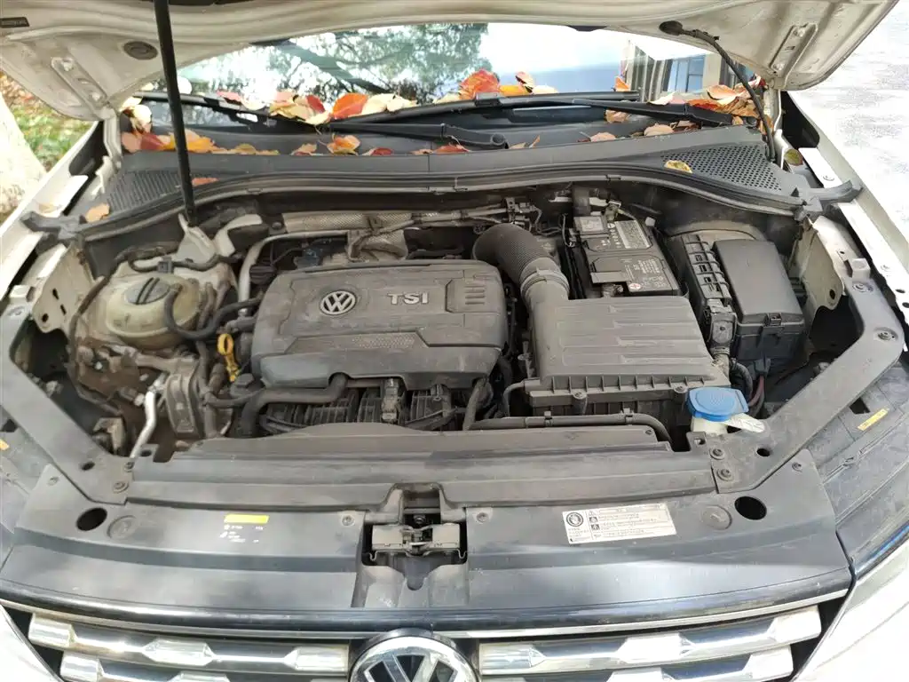 Volkswagen Tiguan L 2017 330TSI Automatic 2WD Trend Edition фото 16
