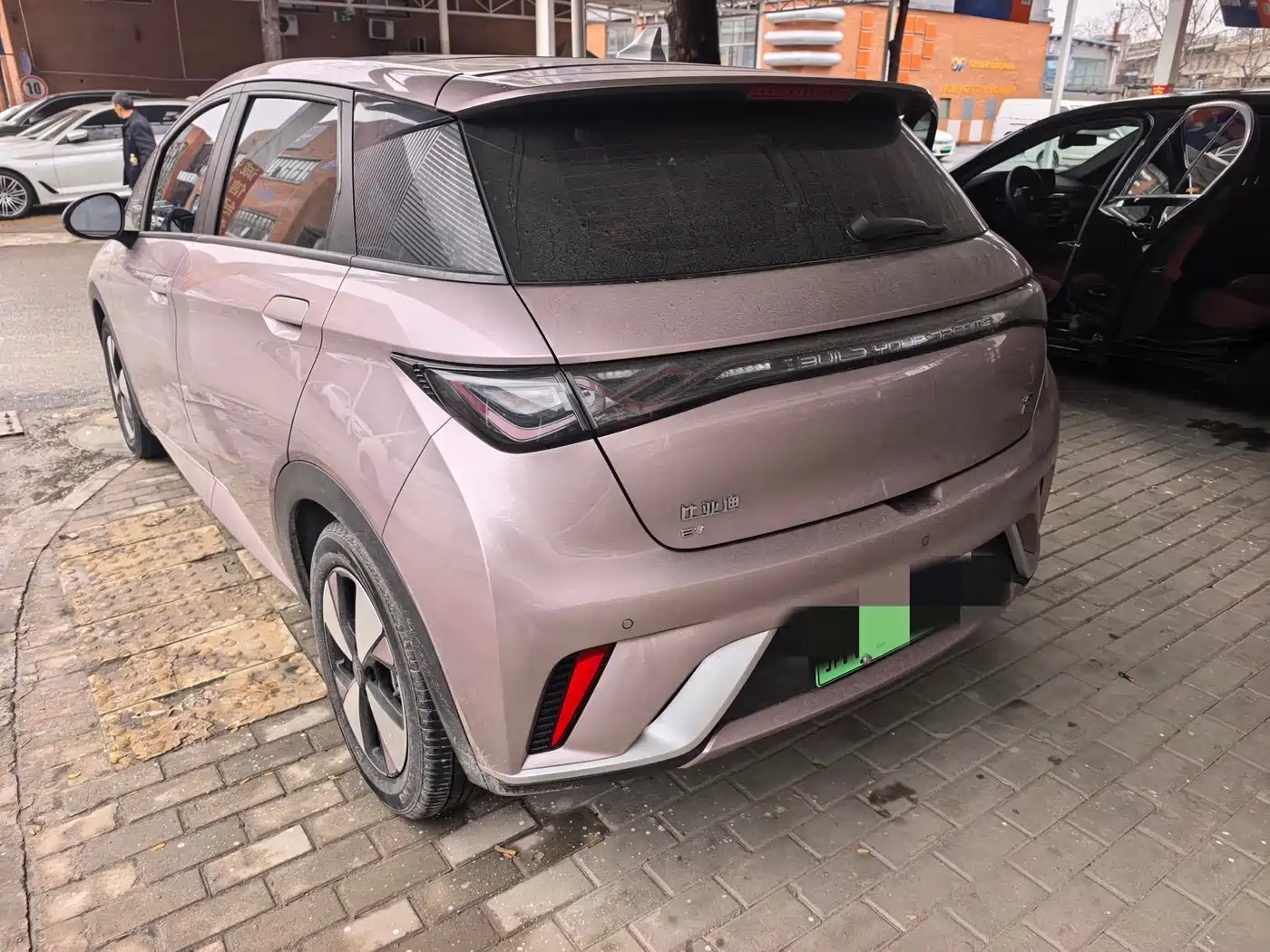 BYD Dolphin 2023 420km Fashion Edition фото 10