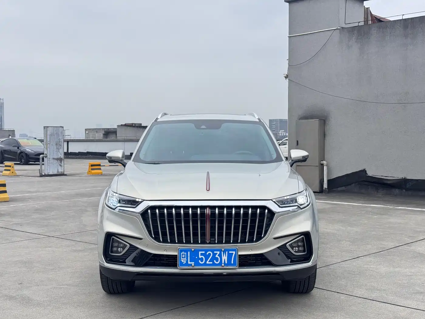 Hongqi HS5 2019 2.0T Smart Connect Enjoy 4WD Edition фото 2