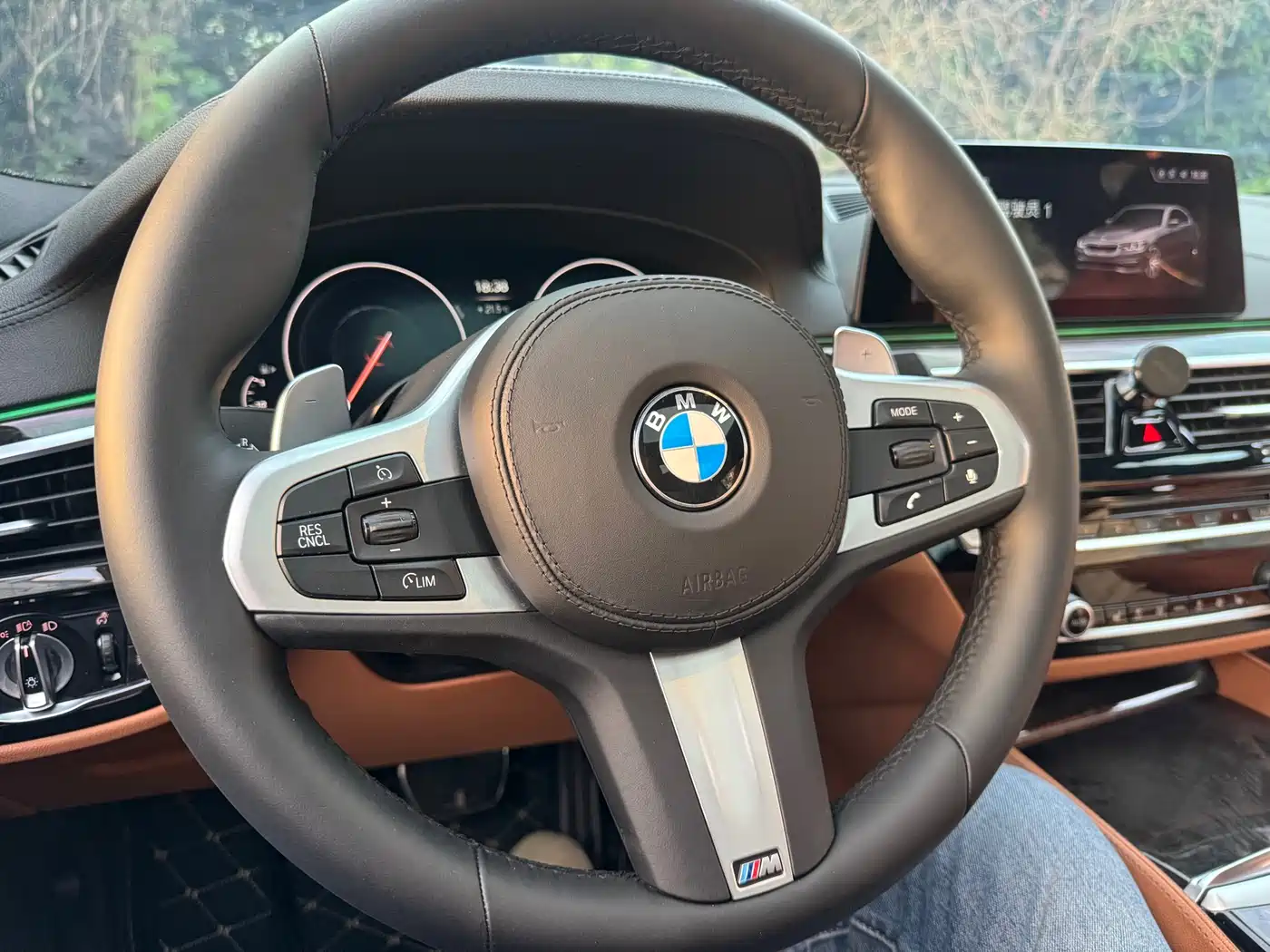 BMW 5 Series 2019 530Li Premium M Sport Package фото 15