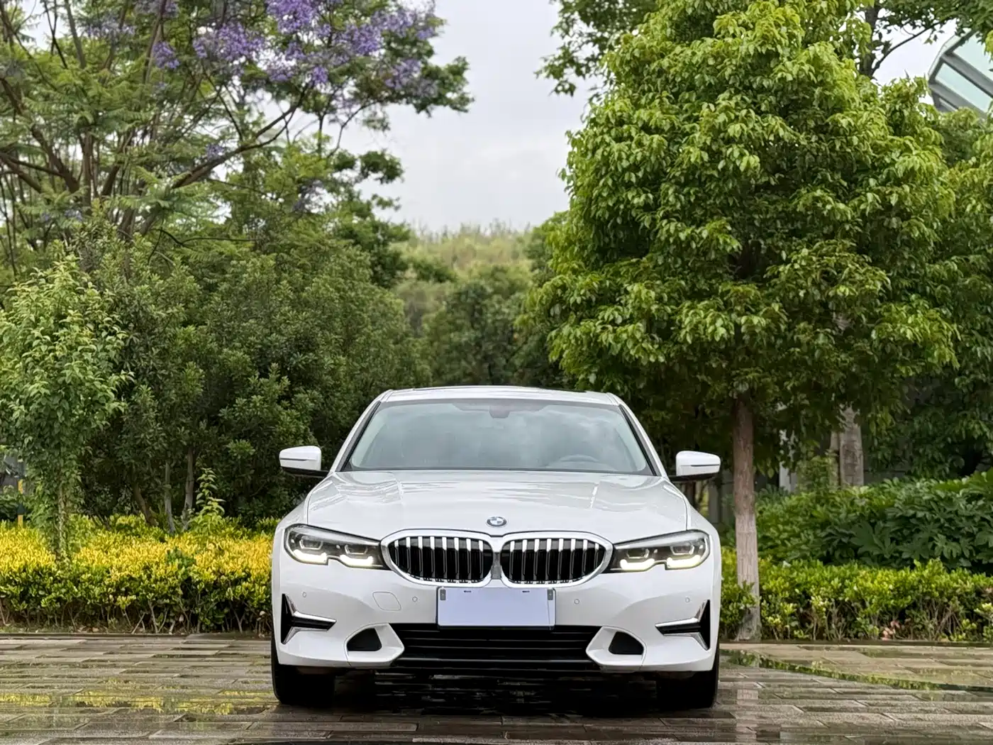 BMW 3 Series 2020 325Li Launch Edition фото 2