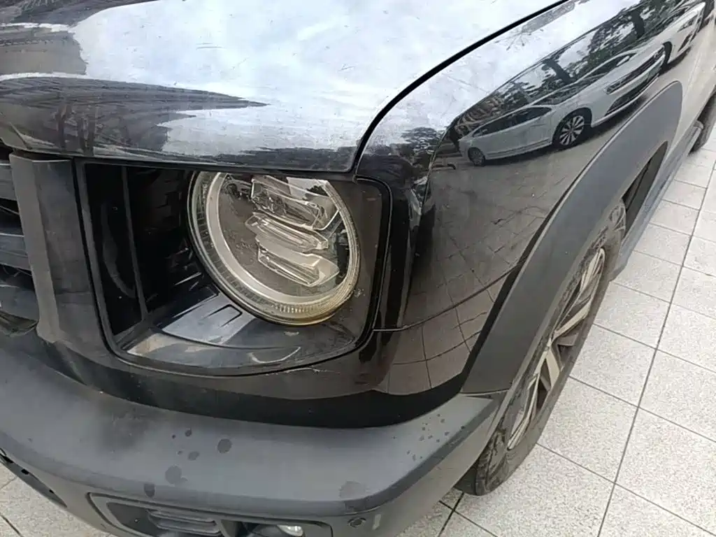 Photo 24 - Haval Dargo
