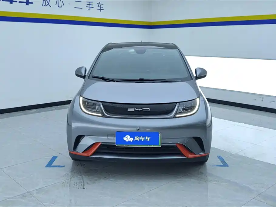 BYD Dolphin 2021 Model 405km Fashion Edition фото 2