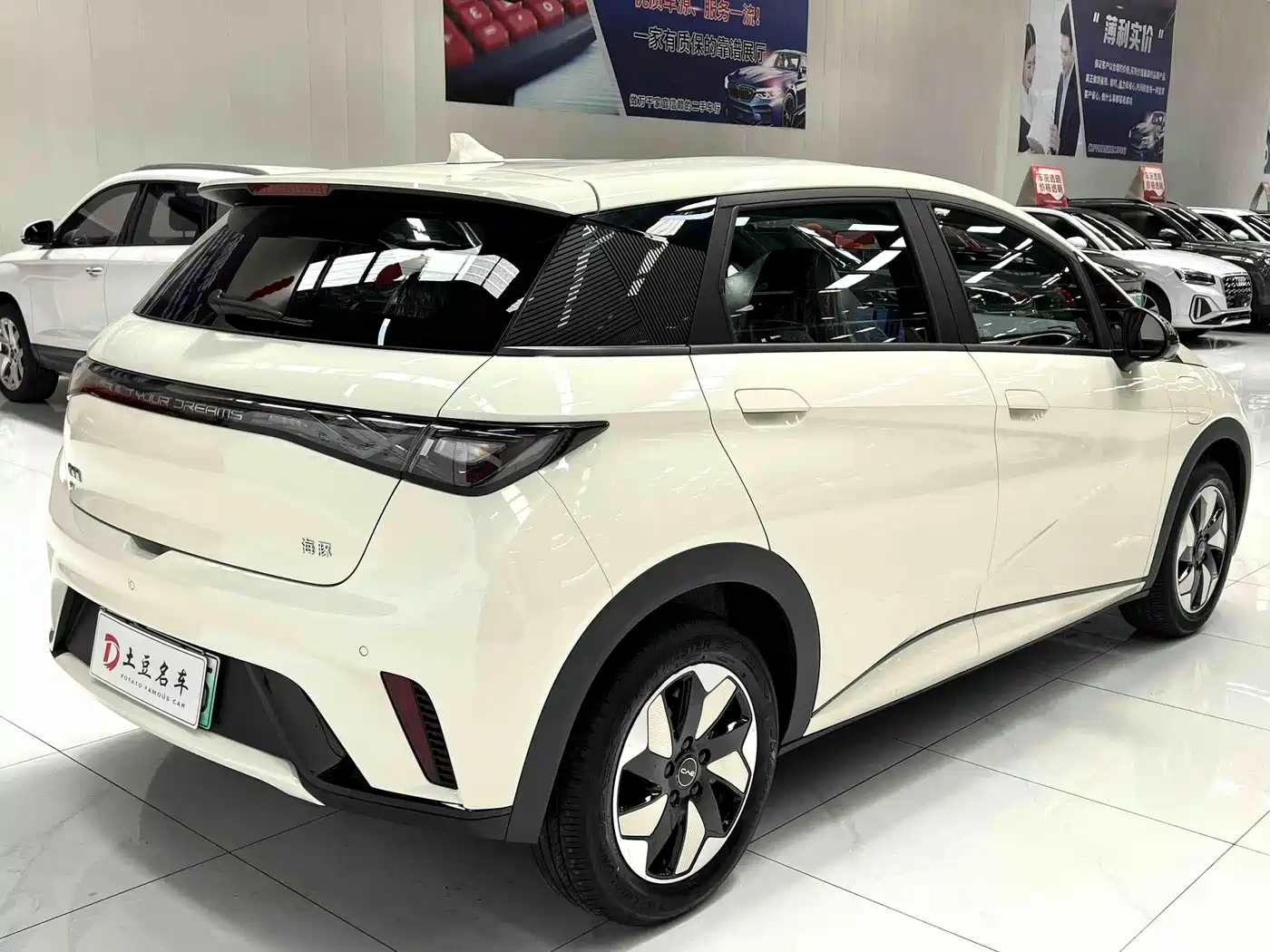BYD Dolphin 2026 2025 420km Freedom Edition