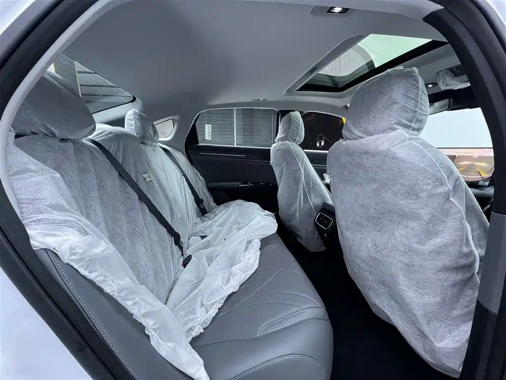 Geely Galaxy Galaxy L6 2025 EM-i 140km Explorer+ Edition фото 19