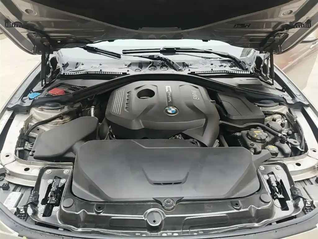 BMW 3 Series 2019 320Li Fashion Type фото 20