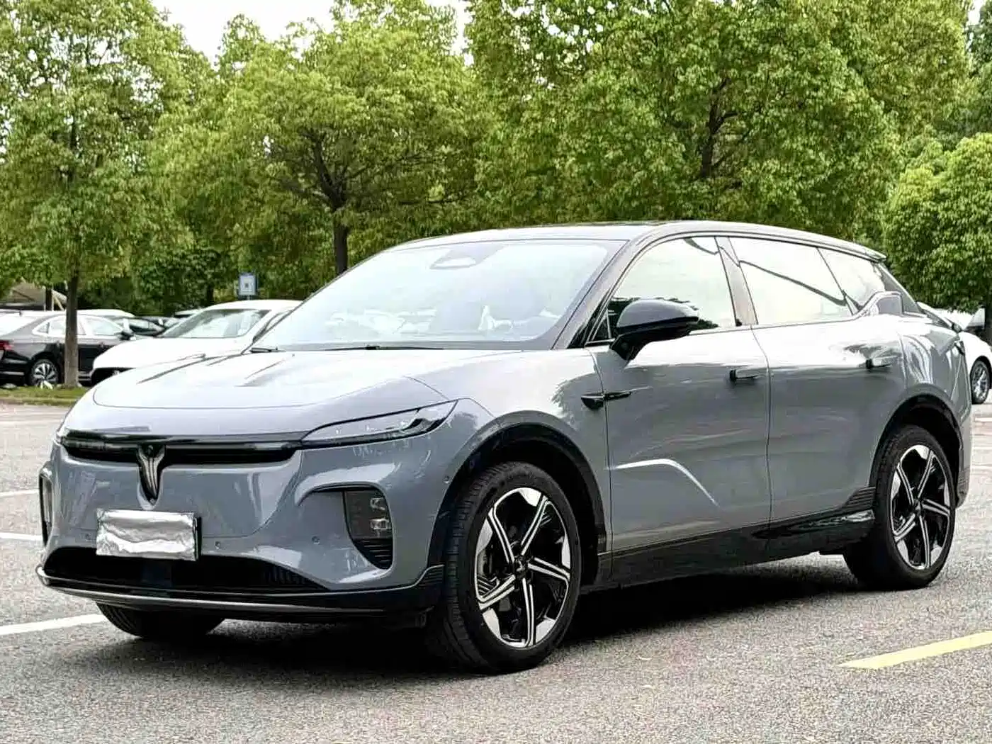 Voyah Auto Voyah Zhiyin 2024 Long Range Super Charging Edition фото 10