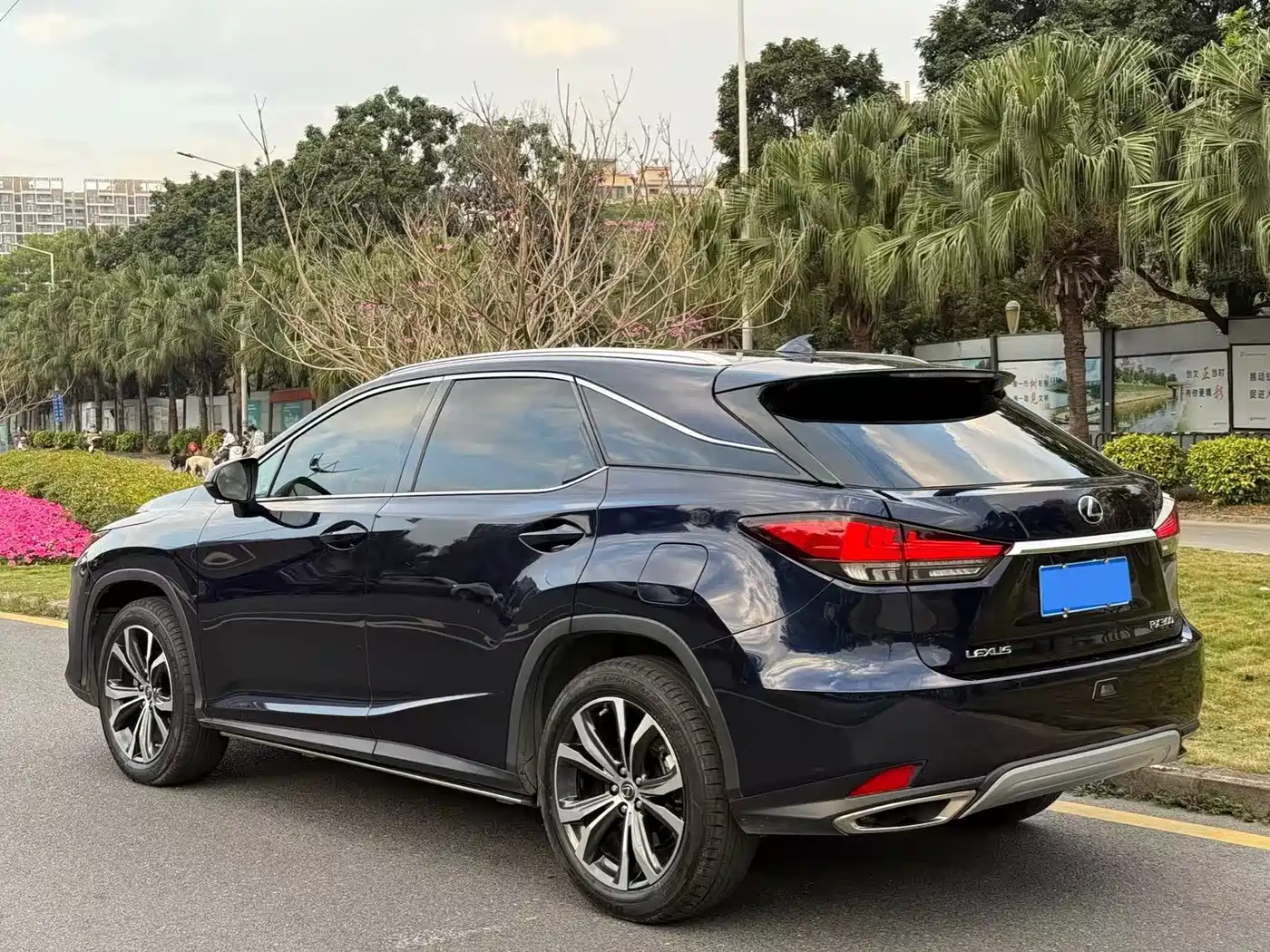LEXUS RX