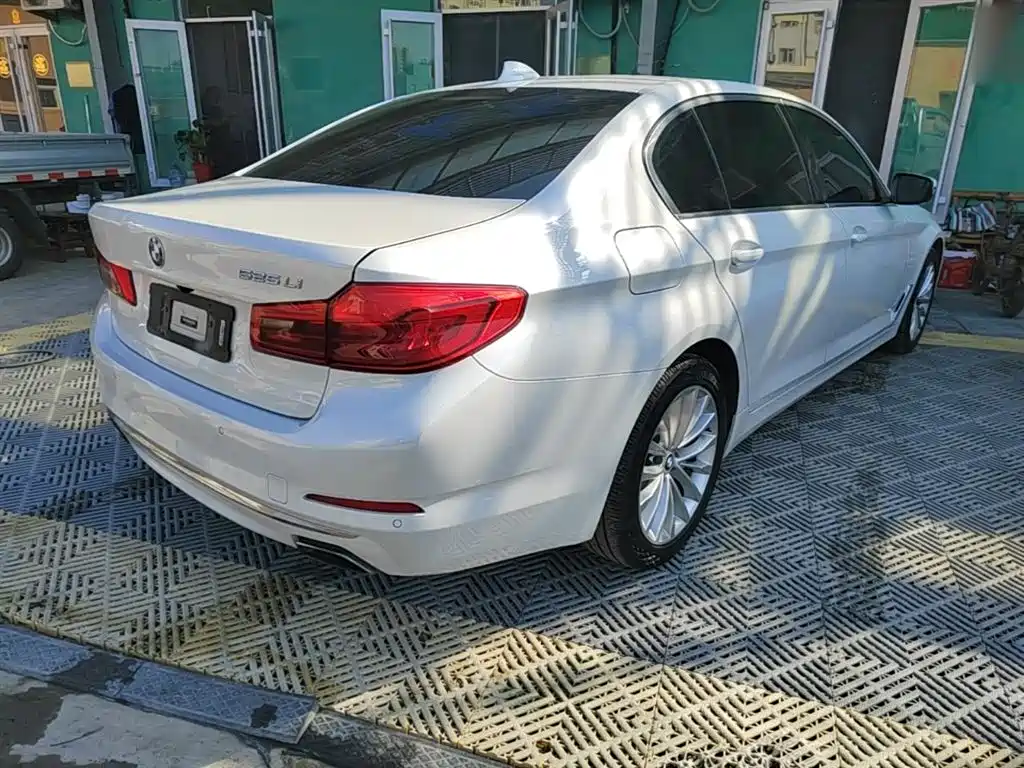BMW 5 Series 2019 525Li Luxury Package фото 7