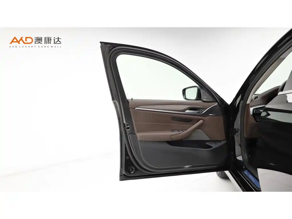 BMW 5 Series 2021 530Li Premium Luxury Package фото 10