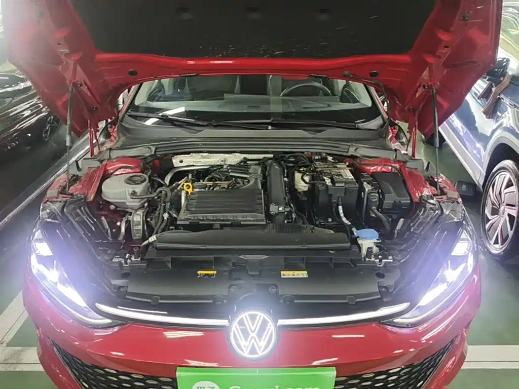 VOLKSWAGEN LINGDU