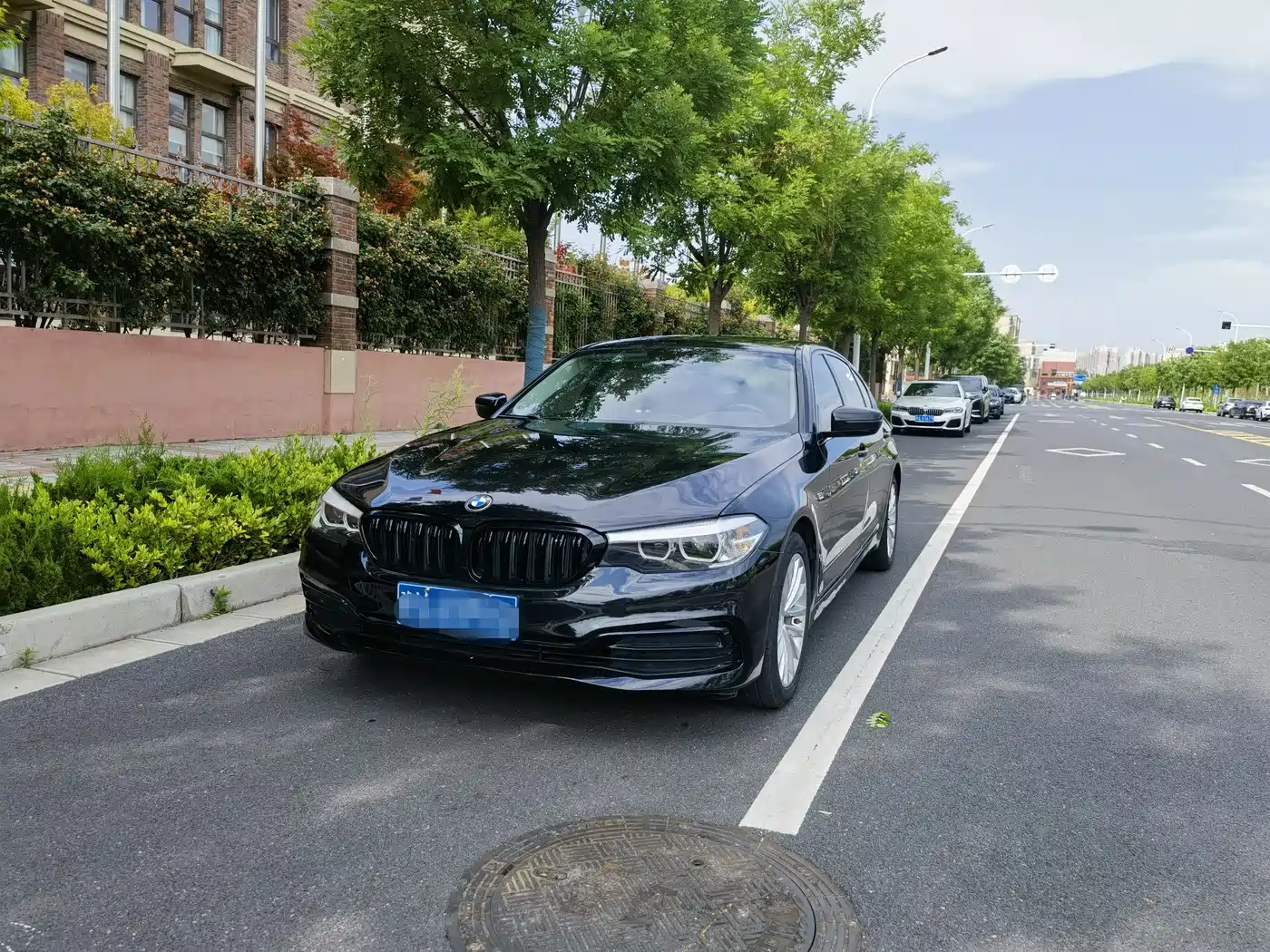 BMW 5 Series 2020 525Li Luxury Package