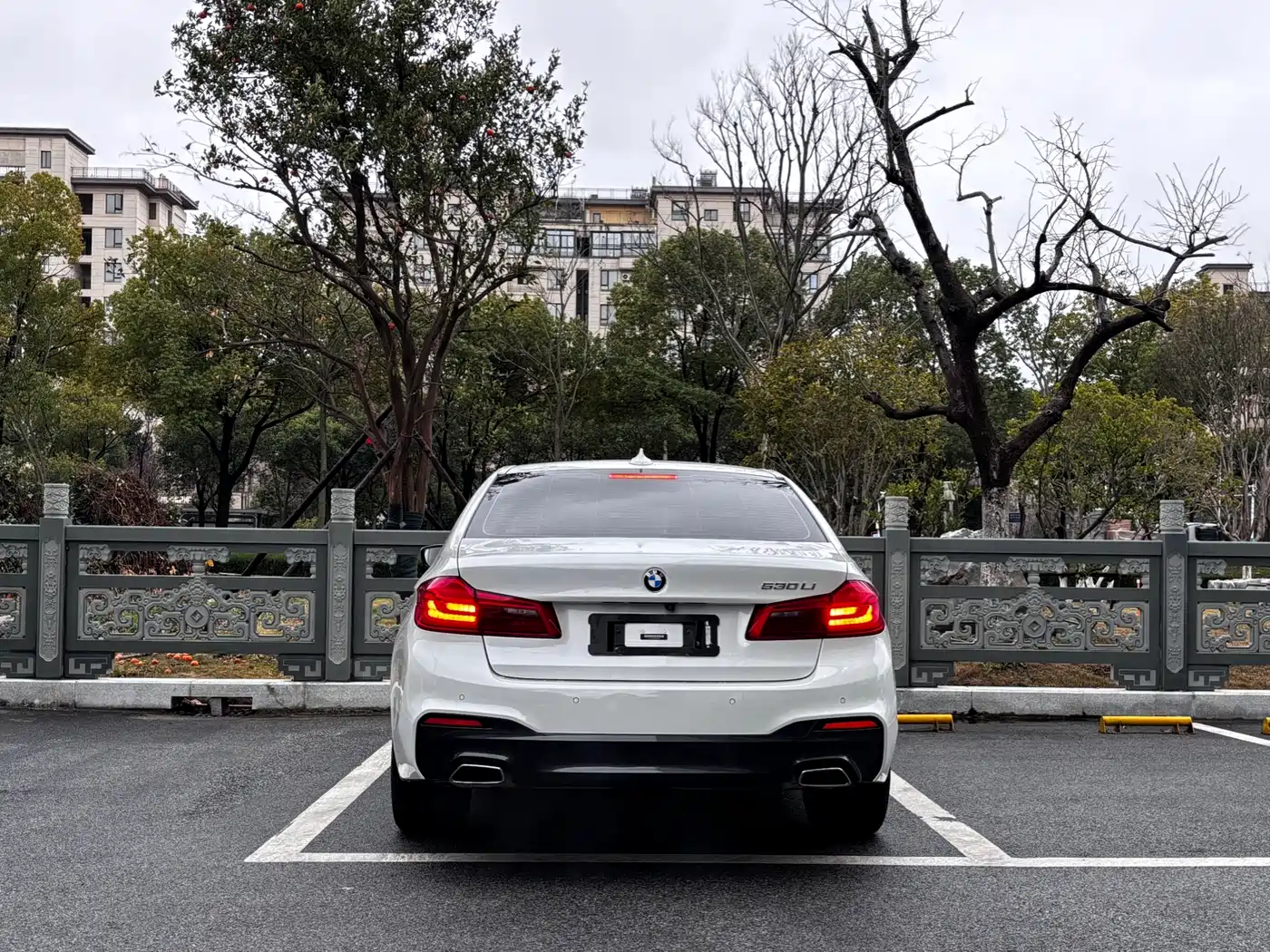 BMW 5 Series 2020 530Li Exclusive M Sport Package фото 5