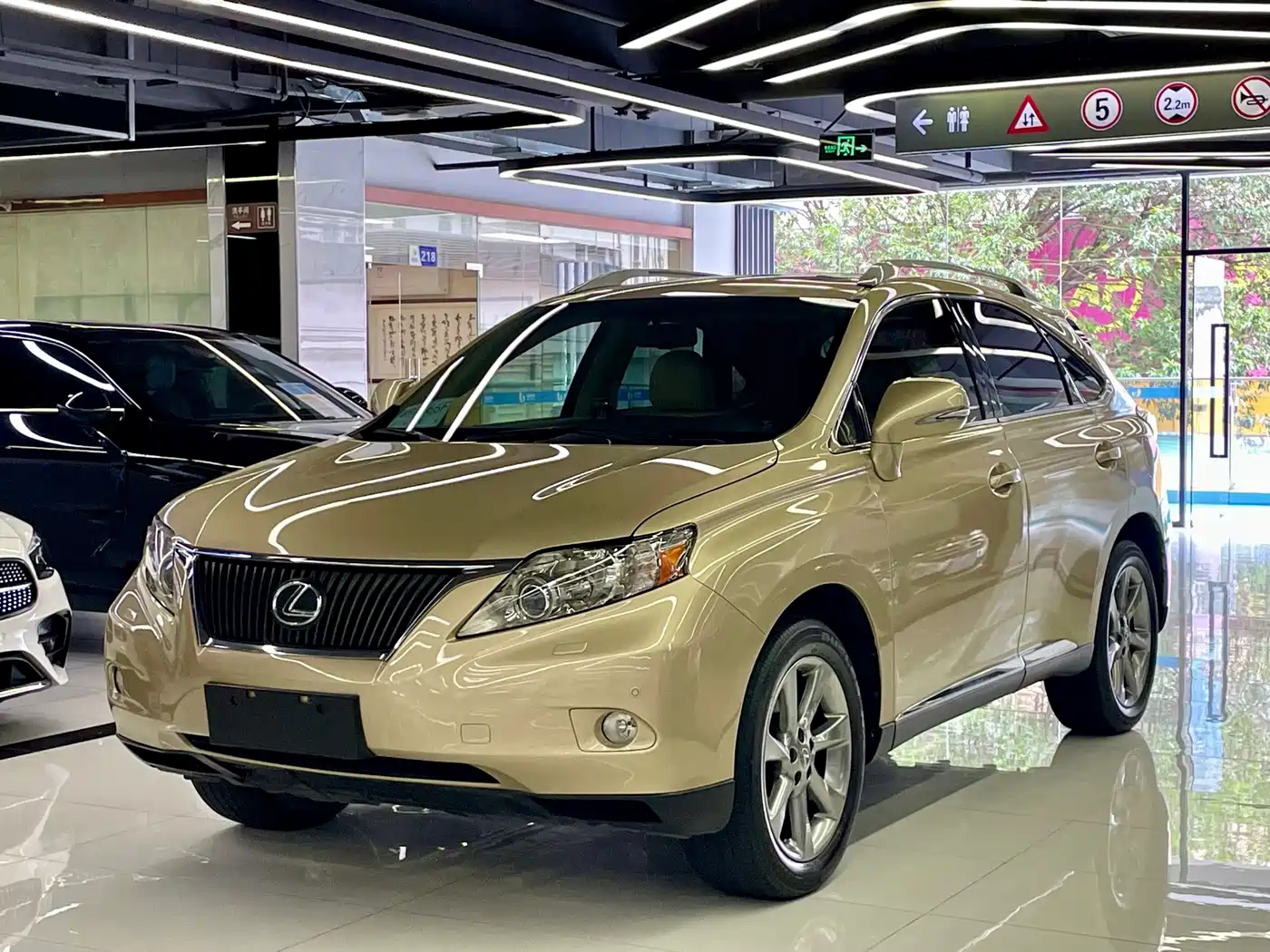 Lexus RX Classic 2009 — пригон из Китая