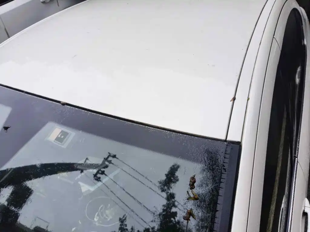 صورة 5 - Peugeot 408