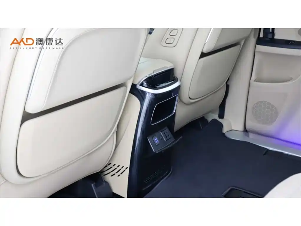 Buick GL8 2022 ES Landmark 653T Luxury фото 10