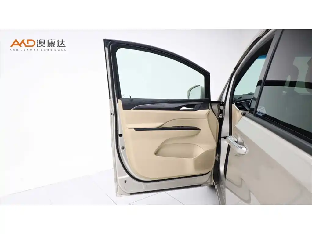 Buick GL8 2022 ES Landmark 653T Luxury фото 11