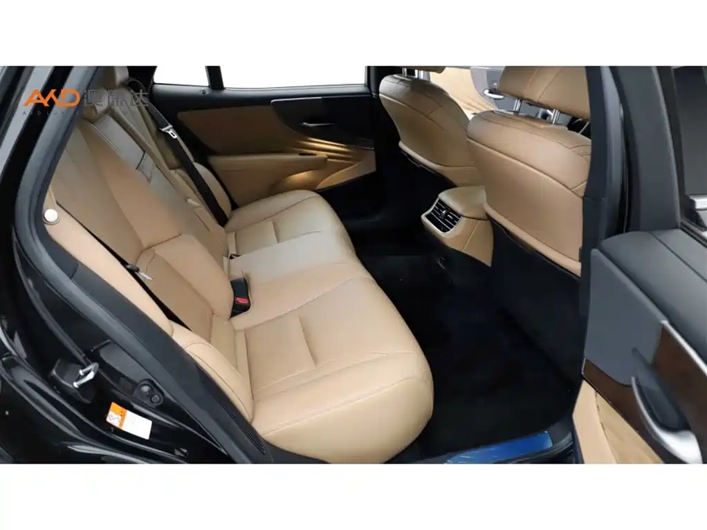 Lexus LS 2021 500h Excellence Edition фото 8