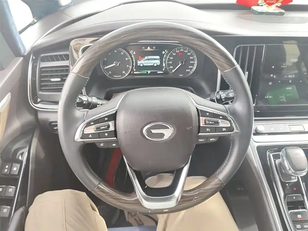 GAC Trumpchi Trumpchi M8 2021 Leading Show Series 390T Premium Edition фото 11
