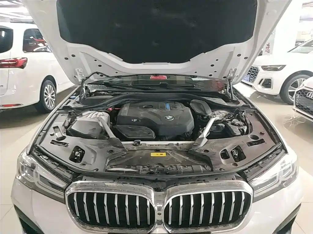BMW 5 Series New Energy 2021 535Le M Sport Package фото 16