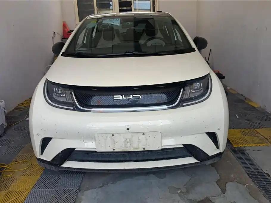 BYD Dolphin 2024 Glory Edition 420km Fashion Edition фото 2