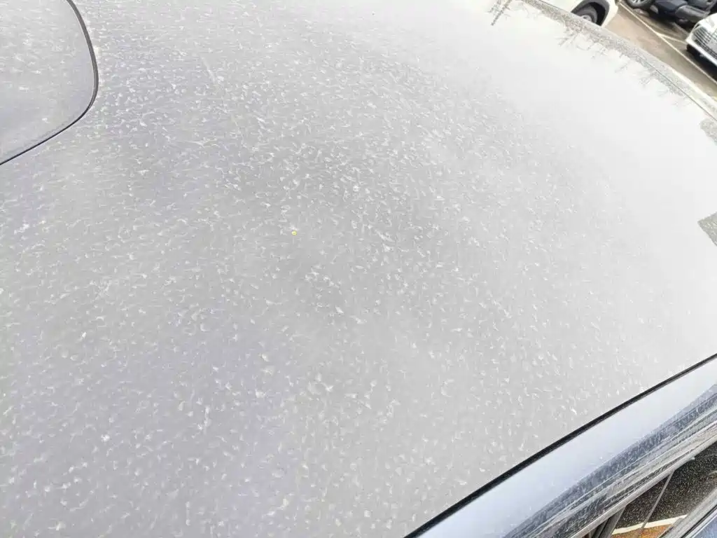 Nissan NX8 2026 2026 LiDAR Edition