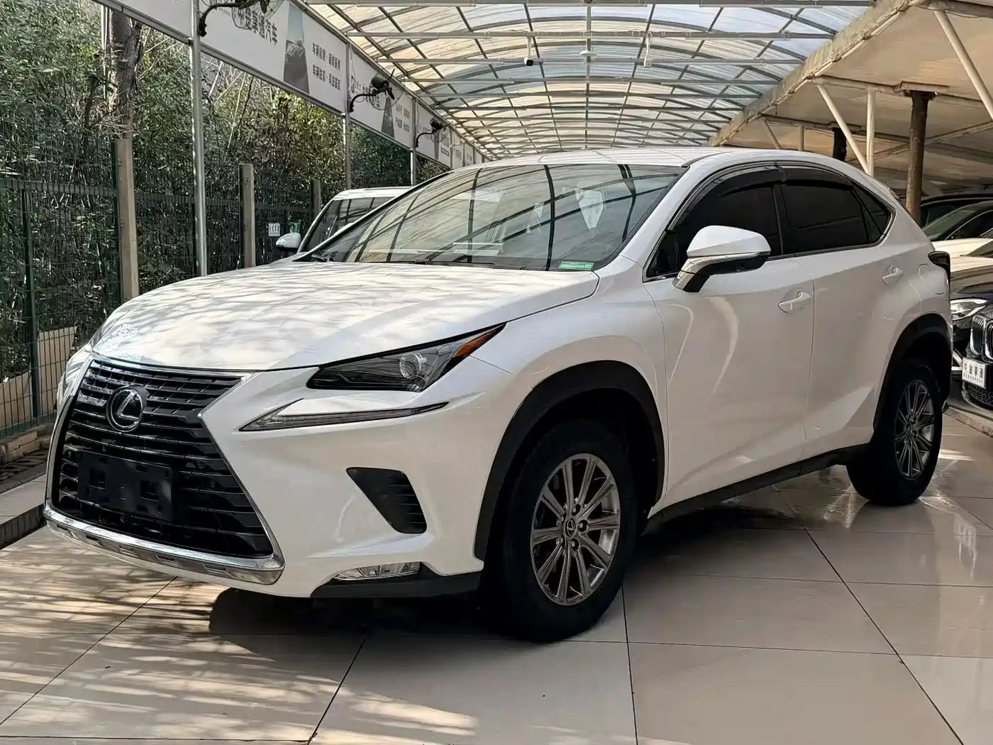LEXUS NX