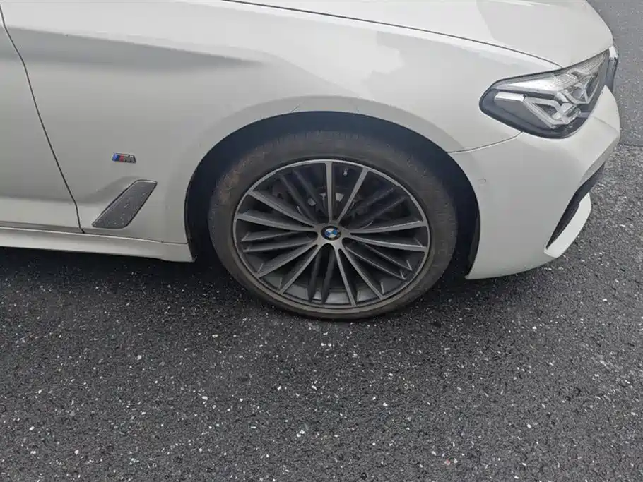 BMW 5 Series 2021 Facelift 530Li Leading M Sport Package фото 6
