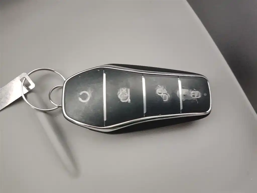 BYD Sealion 06 New Energy 2025 DM-i 170 Pilot Pro Edition фото 9
