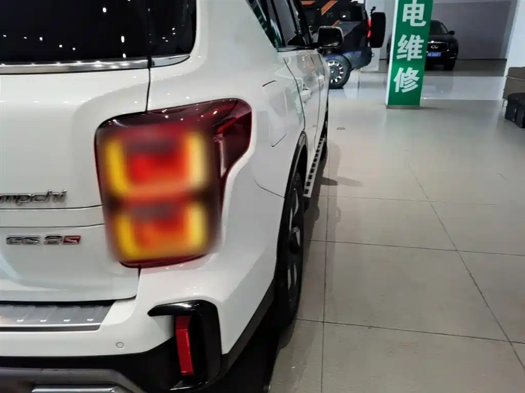 GAC Trumpchi Trumpchi GS8 2020 GS8S 390T 2WD Luxury Smart Connect Edition фото 8