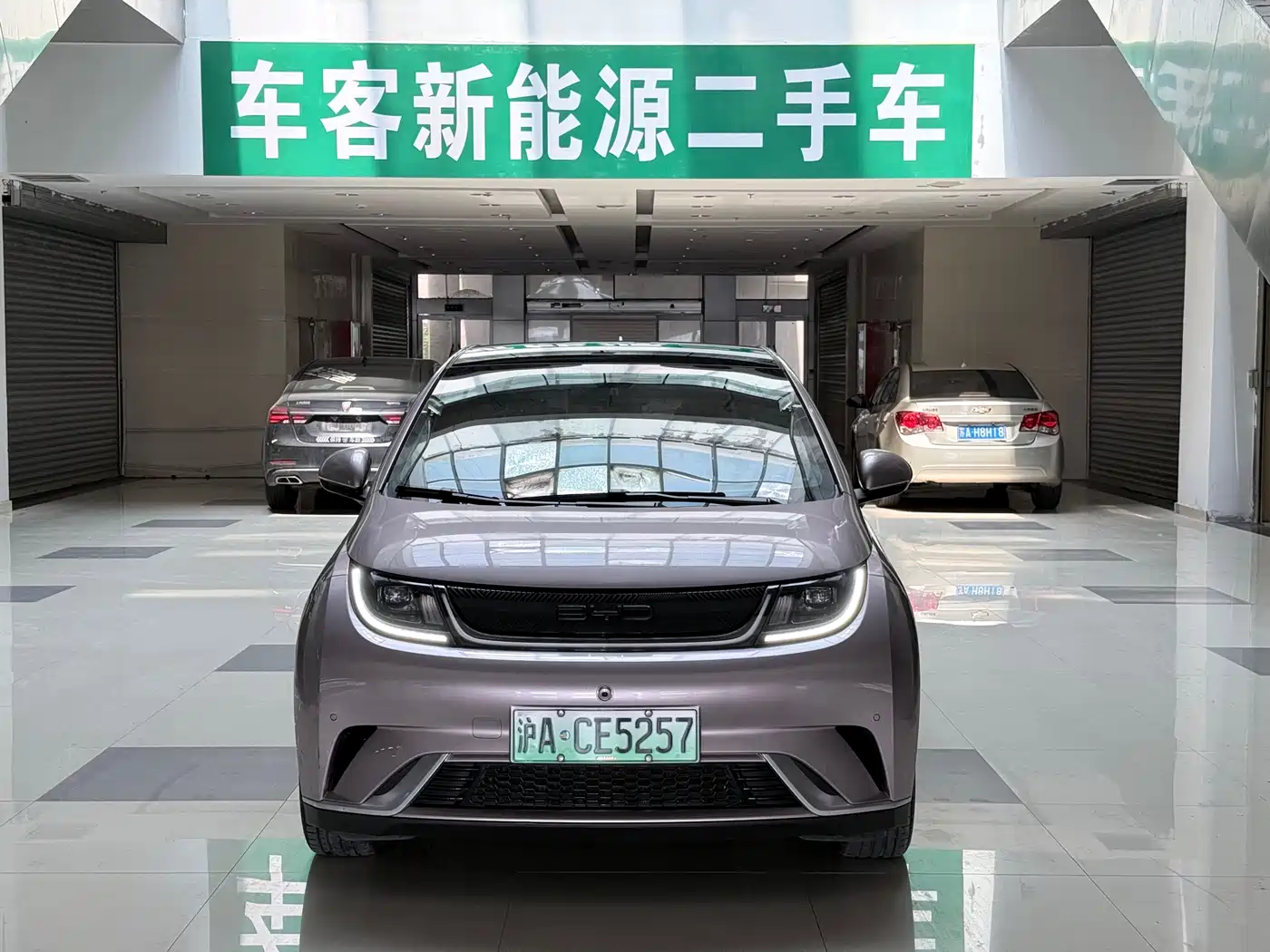 BYD Dolphin 2023 420km Fashion Edition фото 2