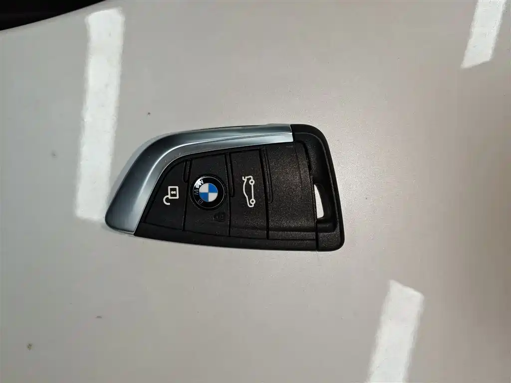 BMW X1 2020 sDrive20Li Fashion Model фото 18