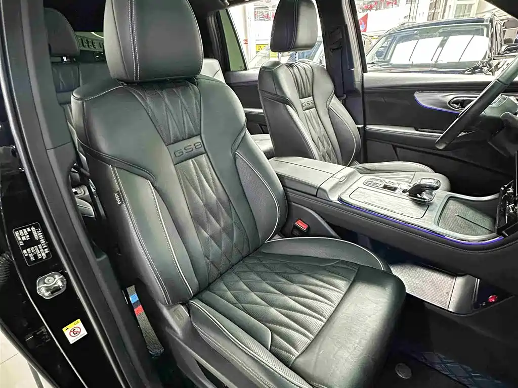 GAC Trumpchi Trumpchi GS8 2022 Dual Engine Series 2.0TM 2WD Premium Edition (7-Seater) фото 31