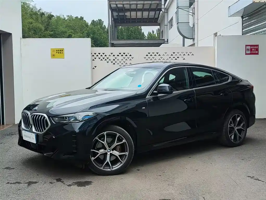 صورة 1 - BMW X6