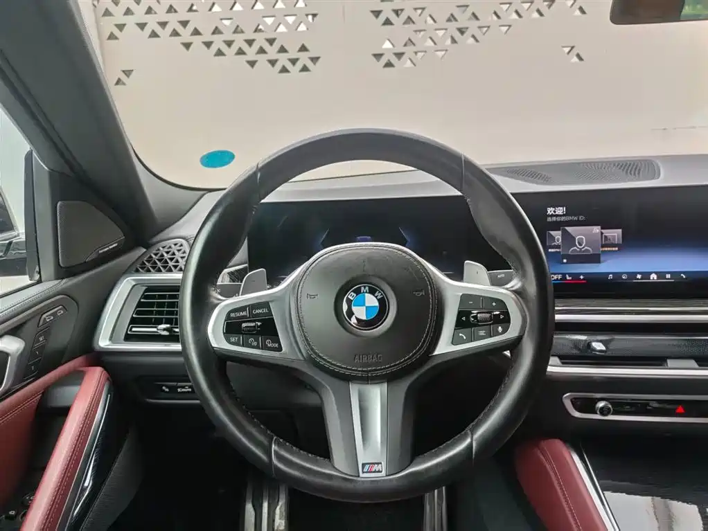 صورة 14 - BMW X6