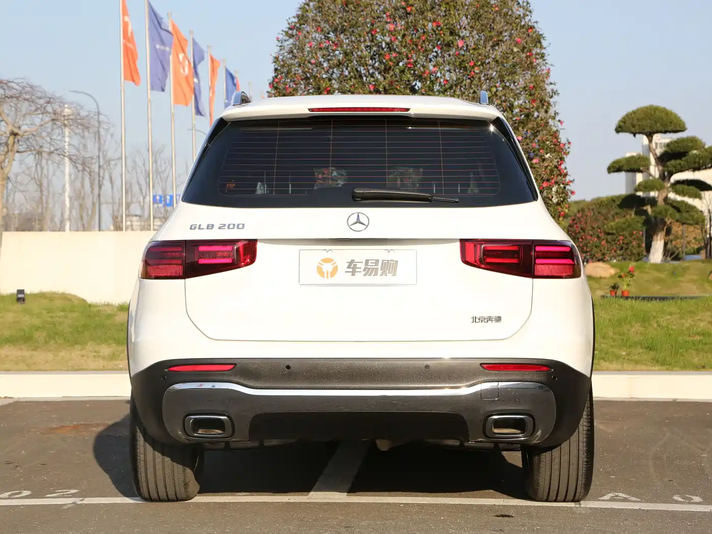 Mercedes-Benz GLB 2024 Facelift GLB 200 Dynamic фото 20