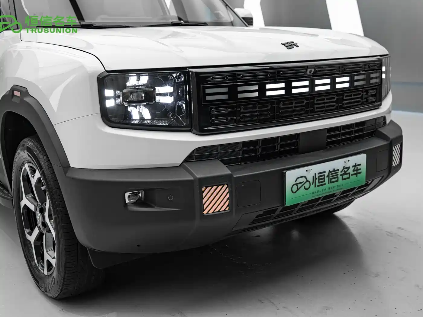 Jetour Shanhai T1 2025 2025 150km Ocean Edition